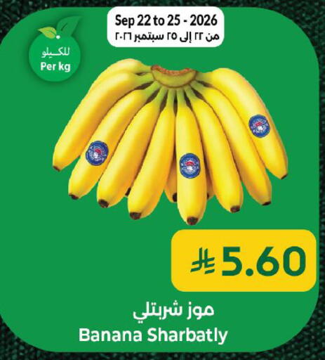 Banana available at كبايان هايبرماركت in مملكة العربية السعودية, السعودية, سعودية - ينبع