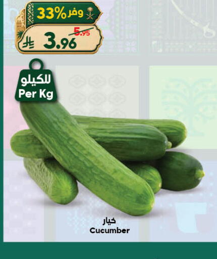 Cucumber available at الدكان in مملكة العربية السعودية, السعودية, سعودية - جدة