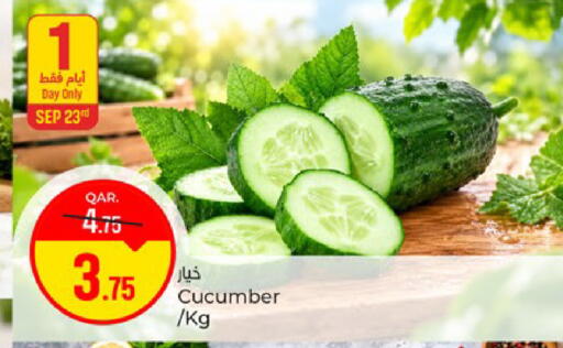 Cucumber available at Paris Hypermarket in Qatar - Doha