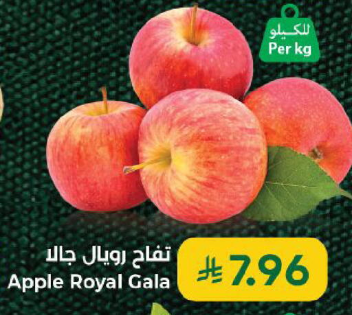 Apple available at كبايان هايبرماركت in مملكة العربية السعودية, السعودية, سعودية - ينبع