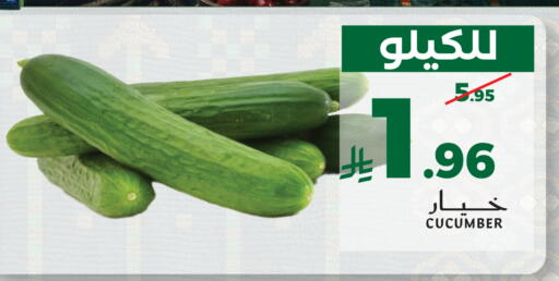 Cucumber available at Mira Mart Mall in KSA, Saudi Arabia, Saudi - Jeddah
