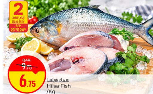 available at باريس هايبرماركت in قطر - الريان