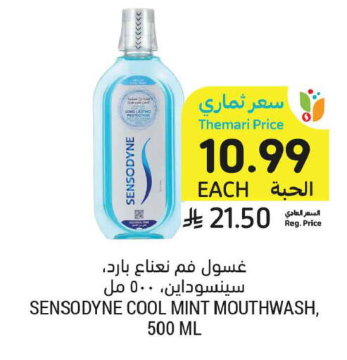 Mint available at أسواق التميمي in مملكة العربية السعودية, السعودية, سعودية - الخبر‎