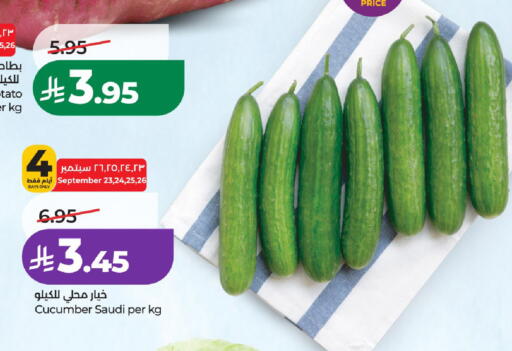 Potato Cucumber from Saudi Arabia available at لولو هايبرماركت in مملكة العربية السعودية, السعودية, سعودية - الخرج
