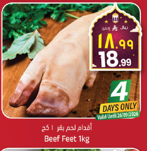 available at City Flower in KSA, Saudi Arabia, Saudi - Sakaka