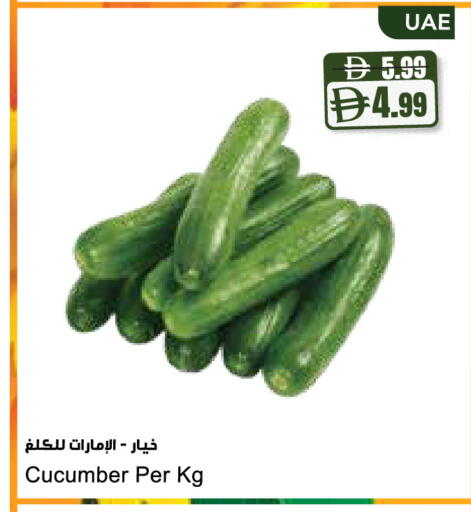 Cucumber available at Almaya Supermarkets in UAE - Sharjah / Ajman