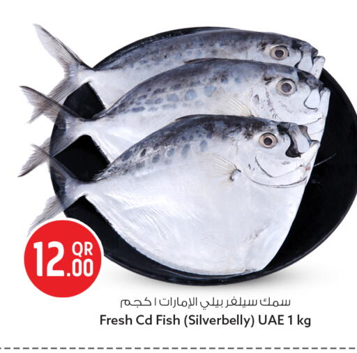 available at Safari Hypermarket in Qatar - Al Wakra