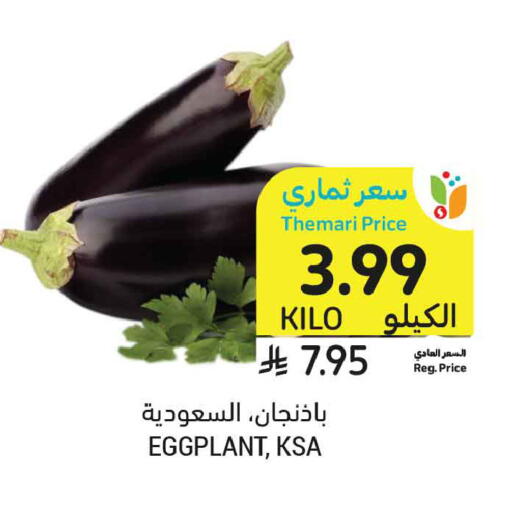 Eggplant available at أسواق التميمي in مملكة العربية السعودية, السعودية, سعودية - الخبر‎