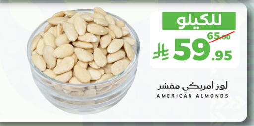 available at Mira Mart Mall in KSA, Saudi Arabia, Saudi - Jeddah
