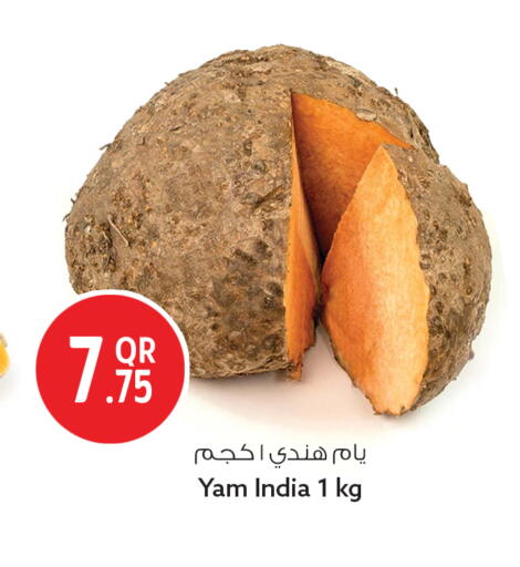 available at سفاري هايبر ماركت in قطر - الشمال