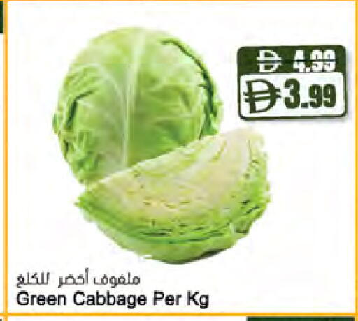 Cabbage available at Almaya Supermarkets in UAE - Sharjah / Ajman