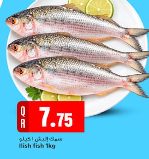 available at مرزا هايبرماركت in قطر - الريان
