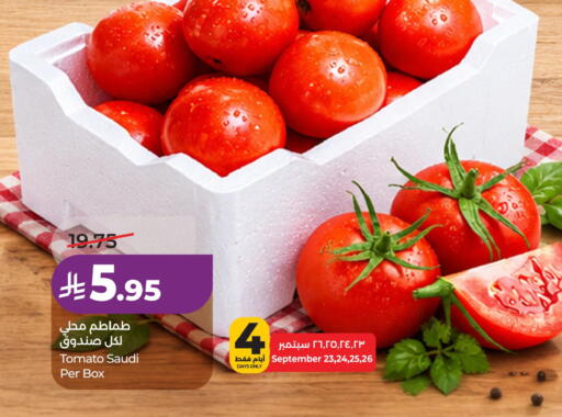 Tomato from Saudi Arabia available at LULU Hypermarket in KSA, Saudi Arabia, Saudi - Al Khobar