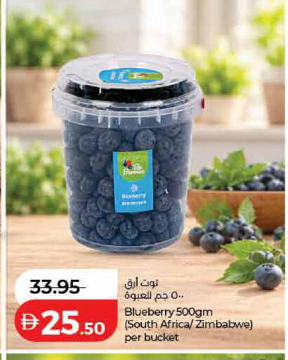 Blueberry BlueBerry from South Africa Zimbabwe available at لولو هايبرماركت in الإمارات العربية المتحدة , الامارات - الشارقة / عجمان