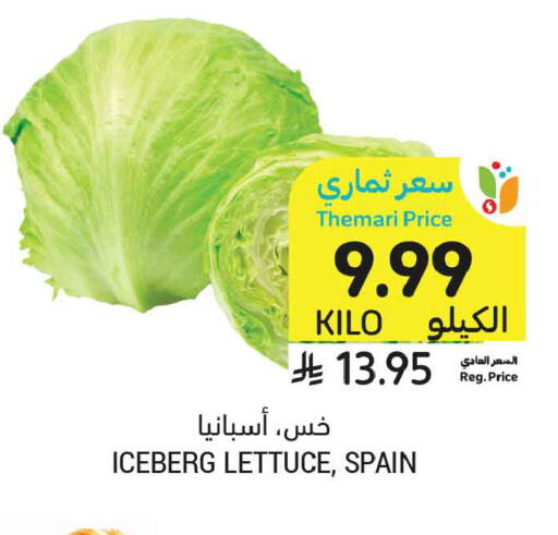 Lettuce from Spain available at أسواق التميمي in مملكة العربية السعودية, السعودية, سعودية - الخبر‎