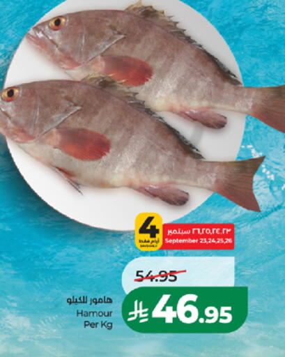 available at LULU Hypermarket in KSA, Saudi Arabia, Saudi - Khamis Mushait
