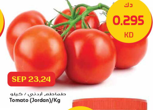 Tomato from Jordan available at جراند هايبر in الكويت - مدينة الكويت