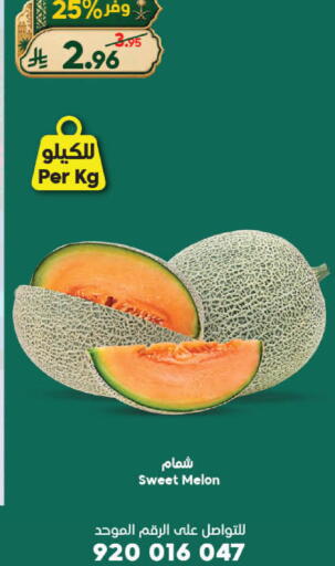 Melon available at الدكان in مملكة العربية السعودية, السعودية, سعودية - جدة