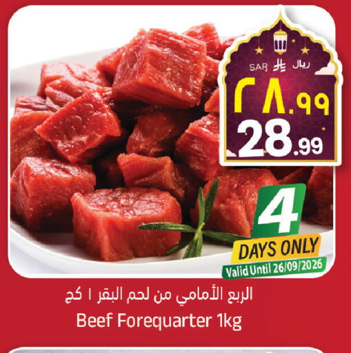 available at City Flower in KSA, Saudi Arabia, Saudi - Sakaka