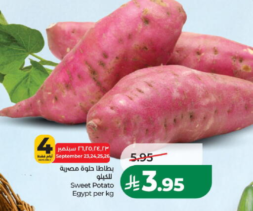 Sweet Potato from Egypt available at لولو هايبرماركت in مملكة العربية السعودية, السعودية, سعودية - الخرج