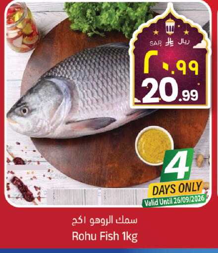 available at City Flower in KSA, Saudi Arabia, Saudi - Hail