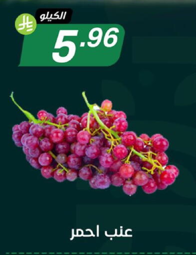 available at Noori Supermarket in KSA, Saudi Arabia, Saudi - Jeddah