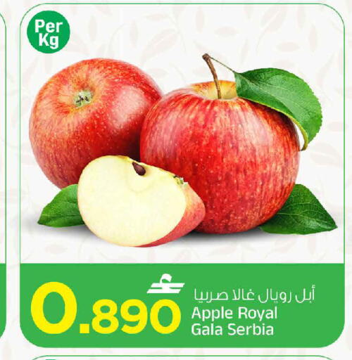 Apple from Serbia available at MARK & SAVE in Oman - Sohar