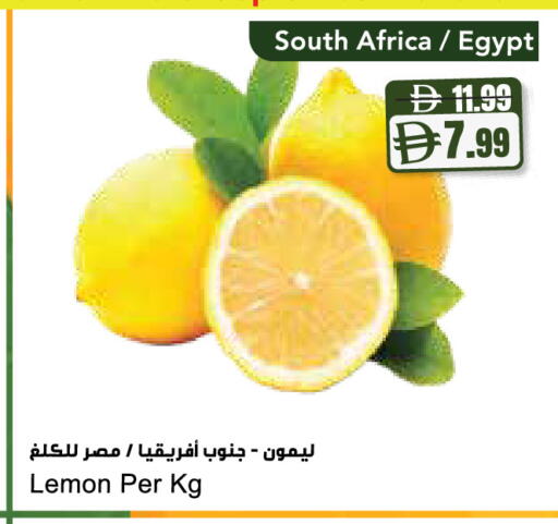 Lemon from South Africa Egypt available at Almaya Supermarkets in UAE - Sharjah / Ajman