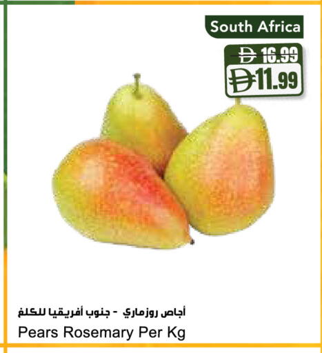 Rosemary from South Africa available at Almaya Supermarkets in UAE - Sharjah / Ajman