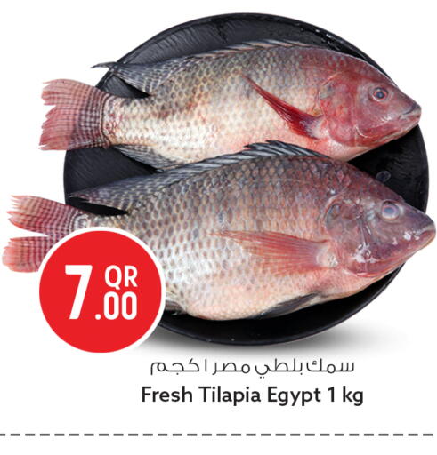 available at سفاري هايبر ماركت in قطر - الريان