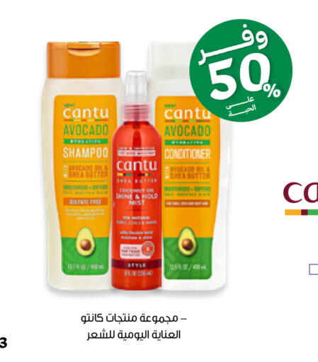 Avocado available at Innova Health Care in KSA, Saudi Arabia, Saudi - Wadi ad Dawasir