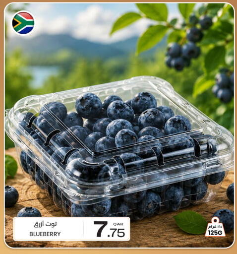 Blueberry BlueBerry available at Al Baladi Al Yawm in Qatar - Al Shamal