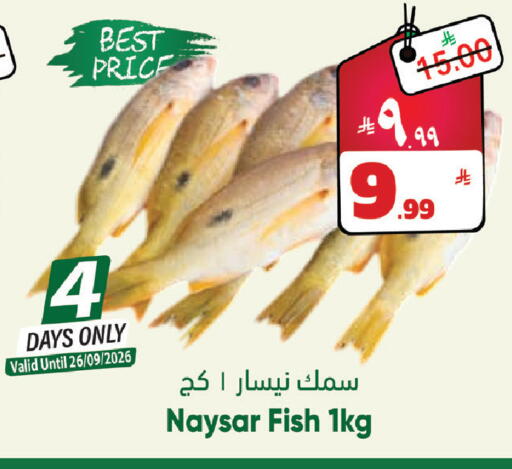available at City Flower in KSA, Saudi Arabia, Saudi - Jubail