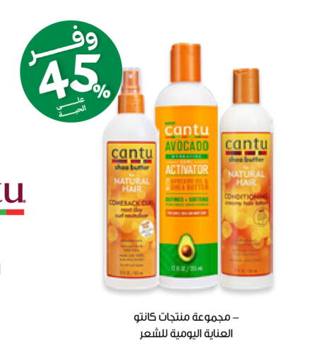 Avocado available at Innova Health Care in KSA, Saudi Arabia, Saudi - Wadi ad Dawasir