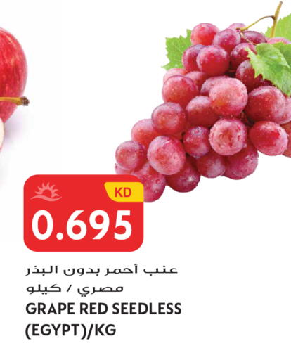from Egypt available at جراند هايبر in الكويت - مدينة الكويت