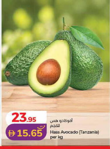 Avocado from Tanzania available at لولو هايبرماركت in الإمارات العربية المتحدة , الامارات - الشارقة / عجمان