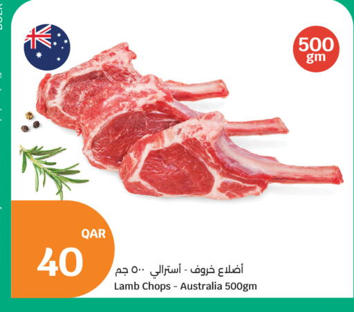 available at سيتي هايبرماركت in قطر - الخور
