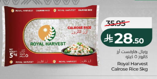 available at لولو هايبرماركت in مملكة العربية السعودية, السعودية, سعودية - الخرج