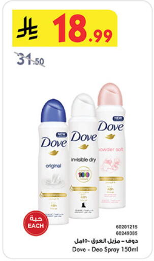 available at بن داود in مملكة العربية السعودية, السعودية, سعودية - المدينة المنورة