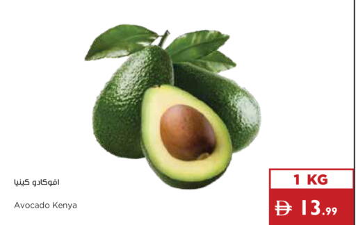 Avocado from Kenya available at Istanbul Supermarket in UAE - Ras al Khaimah