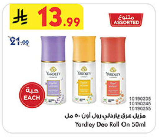 available at بن داود in مملكة العربية السعودية, السعودية, سعودية - المدينة المنورة