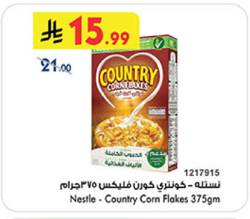 available at بن داود in مملكة العربية السعودية, السعودية, سعودية - المدينة المنورة