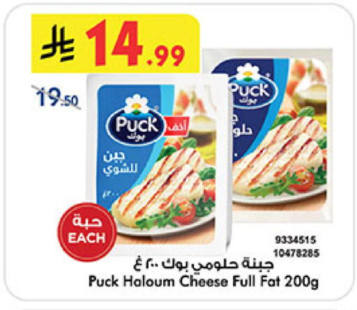 available at بن داود in مملكة العربية السعودية, السعودية, سعودية - المدينة المنورة