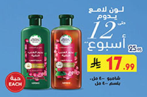 available at بن داود in مملكة العربية السعودية, السعودية, سعودية - المدينة المنورة