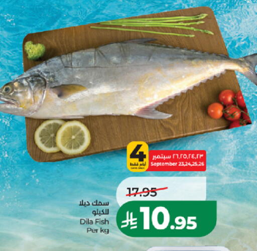 available at لولو هايبرماركت in مملكة العربية السعودية, السعودية, سعودية - المدينة المنورة