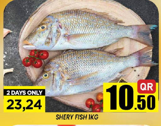 available at دوحة ستوب انح شوب هايبرماركت in قطر - الريان