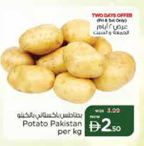 Potato from Pakistan available at نستو هايبرماركت in الإمارات العربية المتحدة , الامارات - دبي