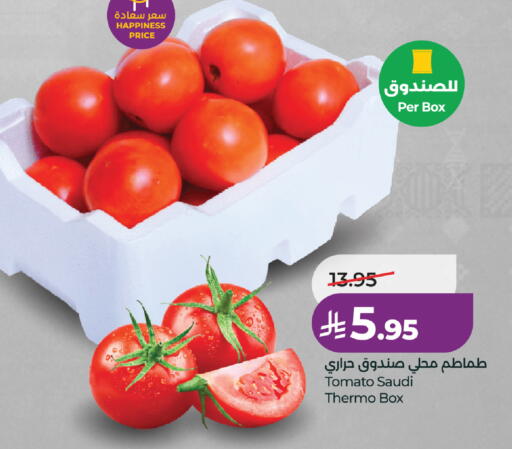 Tomato from Saudi Arabia available at لولو هايبرماركت in مملكة العربية السعودية, السعودية, سعودية - جدة