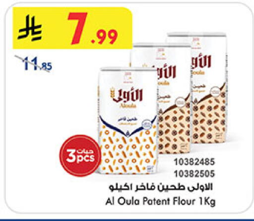 available at بن داود in مملكة العربية السعودية, السعودية, سعودية - المدينة المنورة