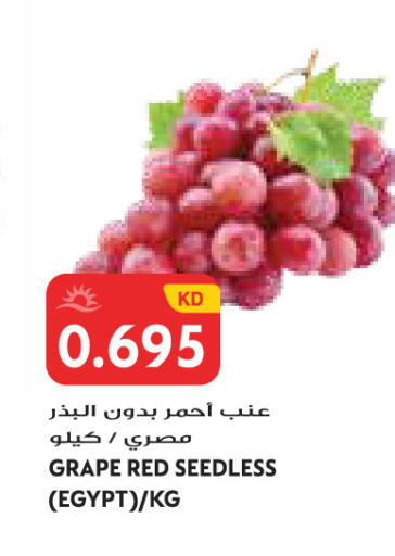 from Egypt available at جراند كوستو in الكويت - مدينة الكويت